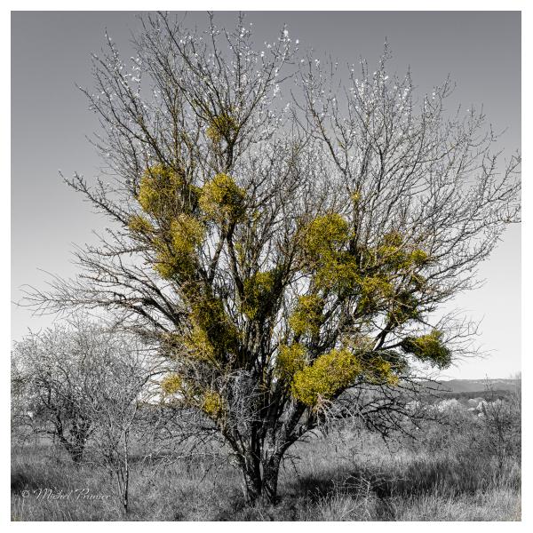 PHOTO84, CLUB, 84 , LUBERON